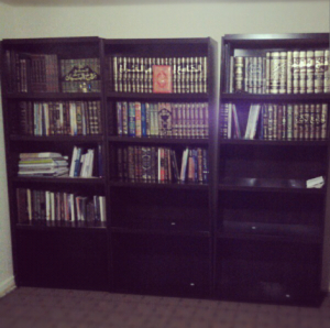 Filling up my bookshelf!