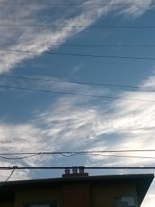 Line