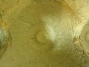 A circle.