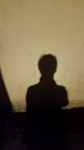 shadow wall