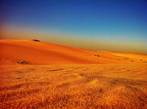 grains